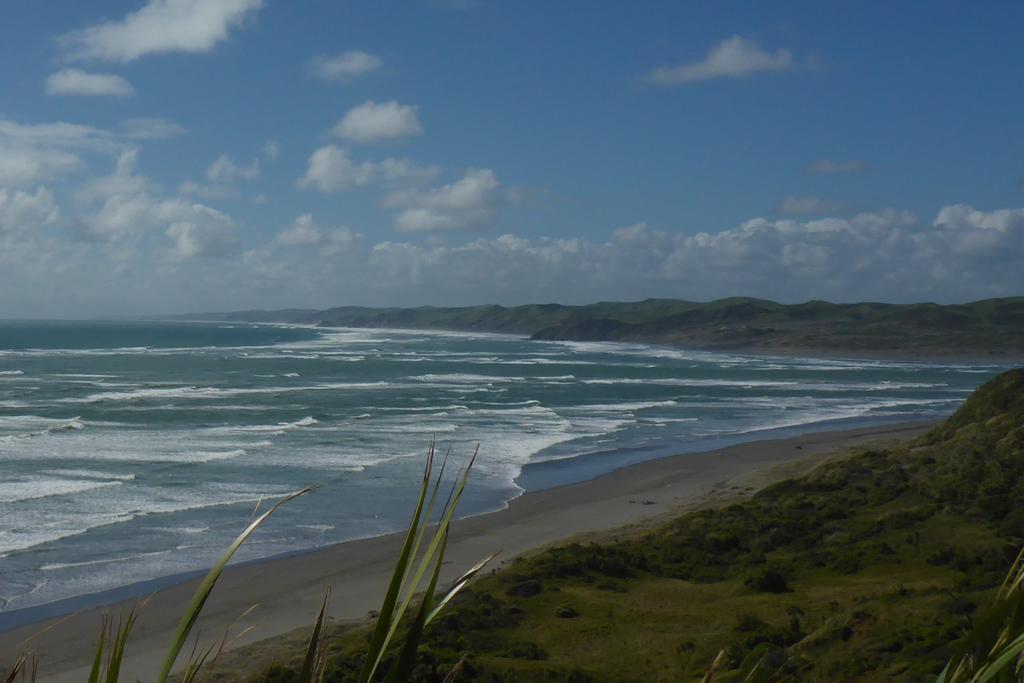 Ocean View Raglan Bed & Breakfast エクステリア 写真
