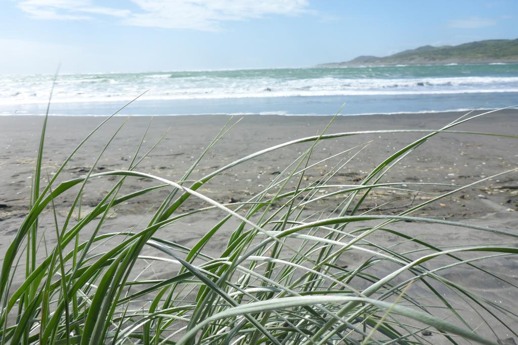Ocean View Raglan Bed & Breakfast エクステリア 写真