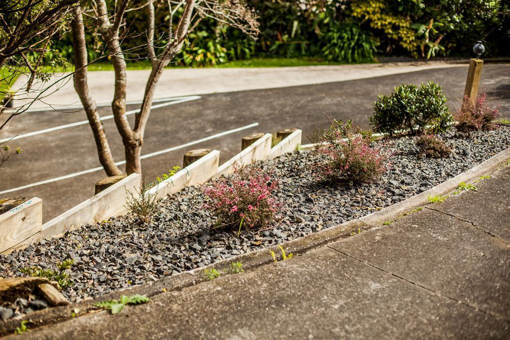 Ocean View Raglan Bed & Breakfast エクステリア 写真